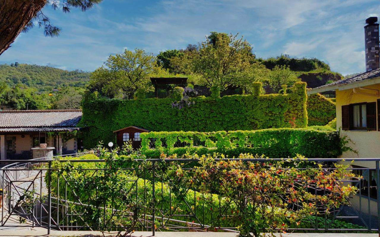 Agriturismo Le Vigne Bolsena Exterior photo