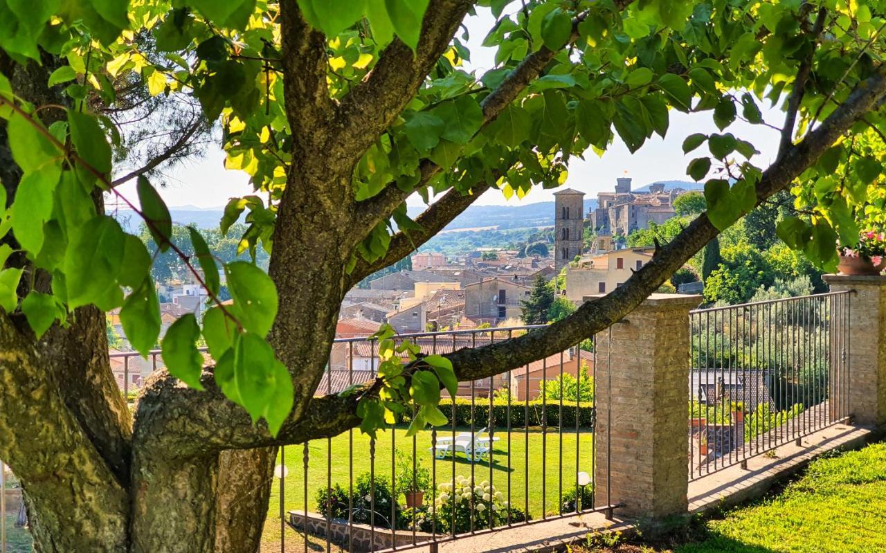 Agriturismo Le Vigne Bolsena Exterior photo